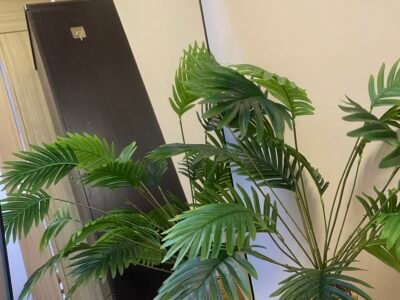 Jade @ Shore Residences 1BR by JBCo